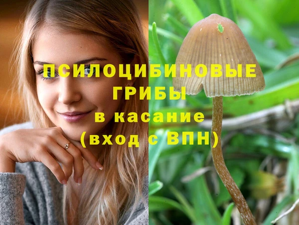 2c-b Алексин