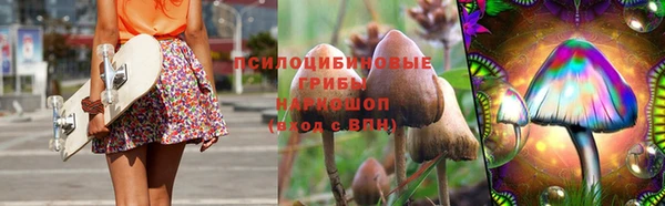 эйфоретик Алзамай